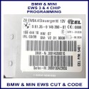 BMW & Mini EWS immobiliser key - cut & programming service